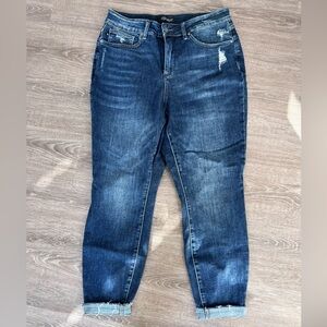 Women’s Plus Judy Blue Skinny Jean